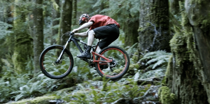 mountain biker in washington forest
