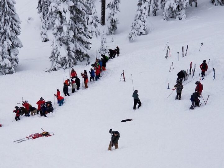 Surviving An Avalanche At My Home Ski Resort - Mountain Culture Group